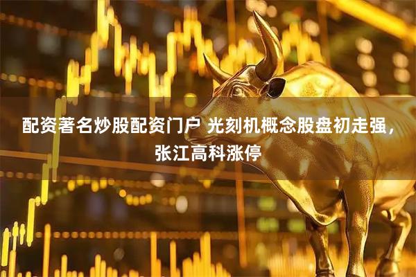 配资著名炒股配资门户 光刻机概念股盘初走强，张江高科涨停